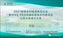 论坛回顾 | 2021智慧乡村能源转型论坛暨IEEE PES中